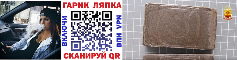 Купить закладки  Петровск-Забайкальский  ГАШИШ Cannabis 