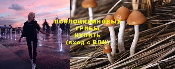 кокс Волоколамск
